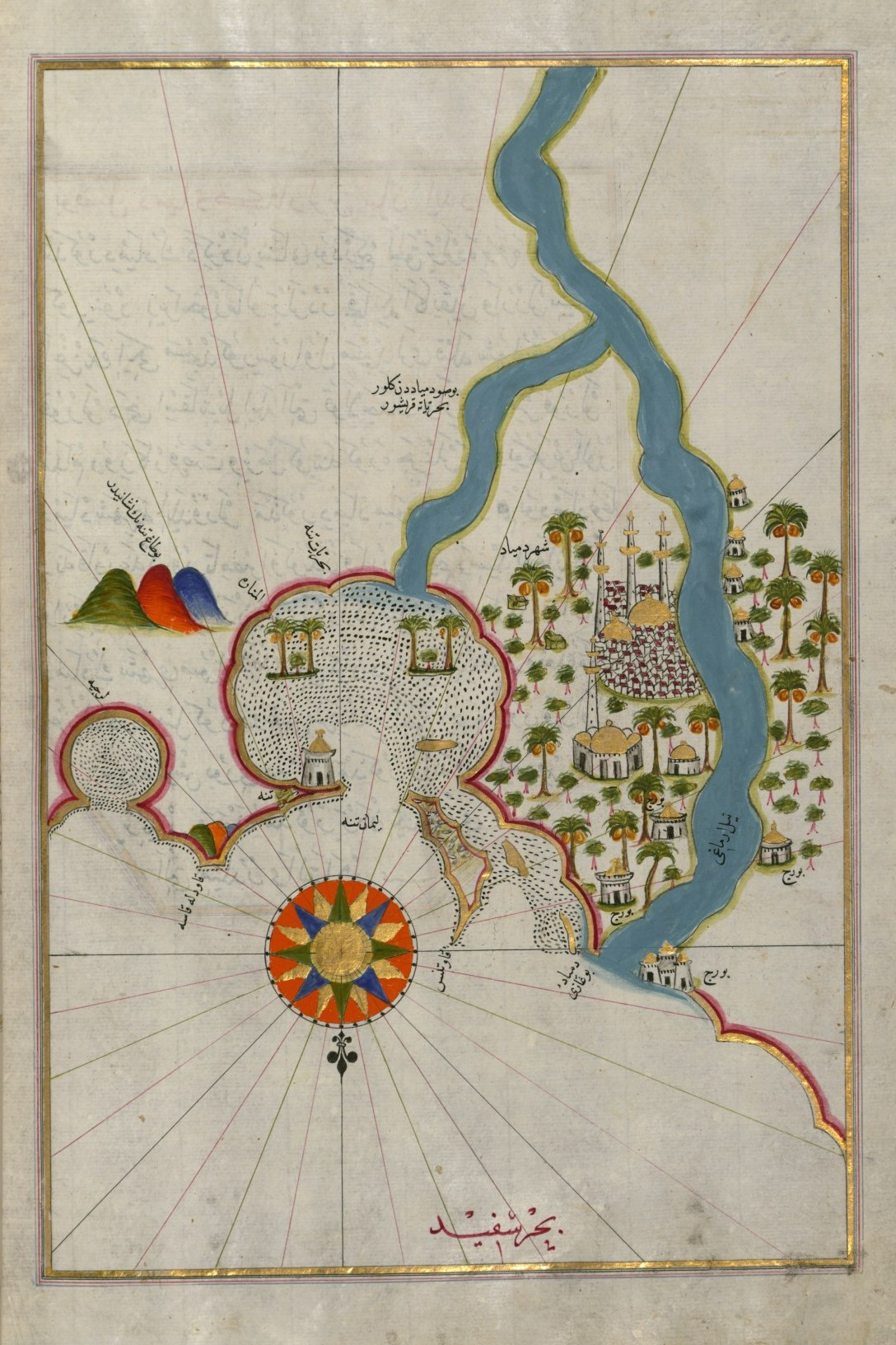 Map of the City of Damietta on the Egyptian Coast