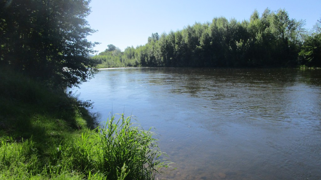 Bank of the Allier River