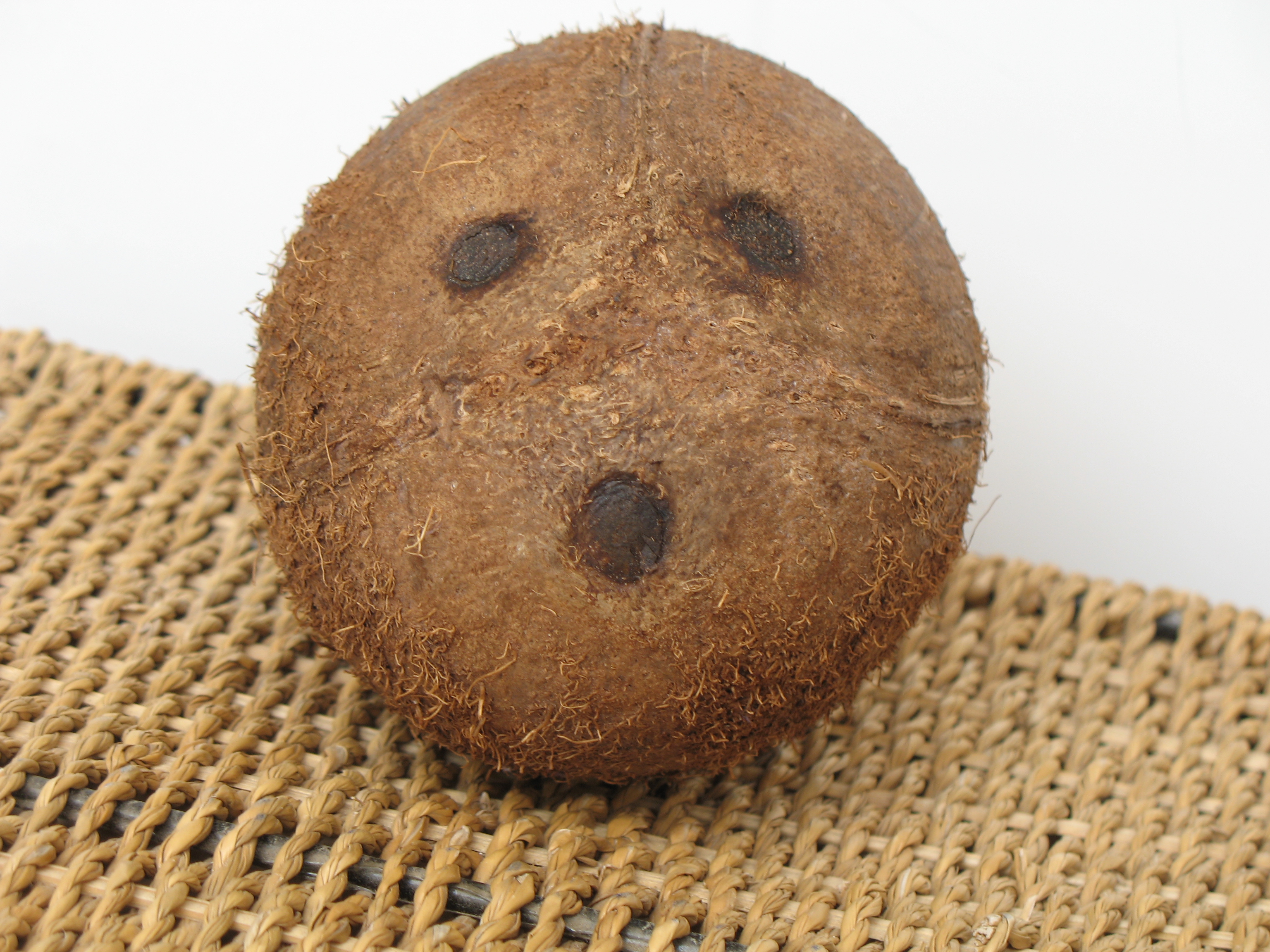Coconut resembling a human face, head