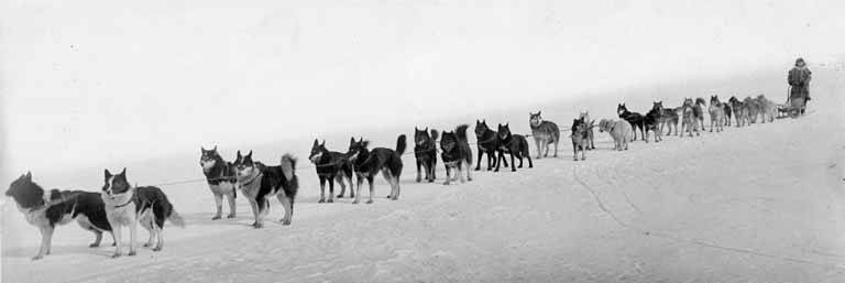 By H. G. Kaiser - Alaska, Western Canada and United States Collection, Public Domain, https://commons.wikimedia.org/w/index.php?curid=77790583